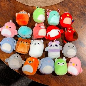 Mini Squishmallow Bundle 2"